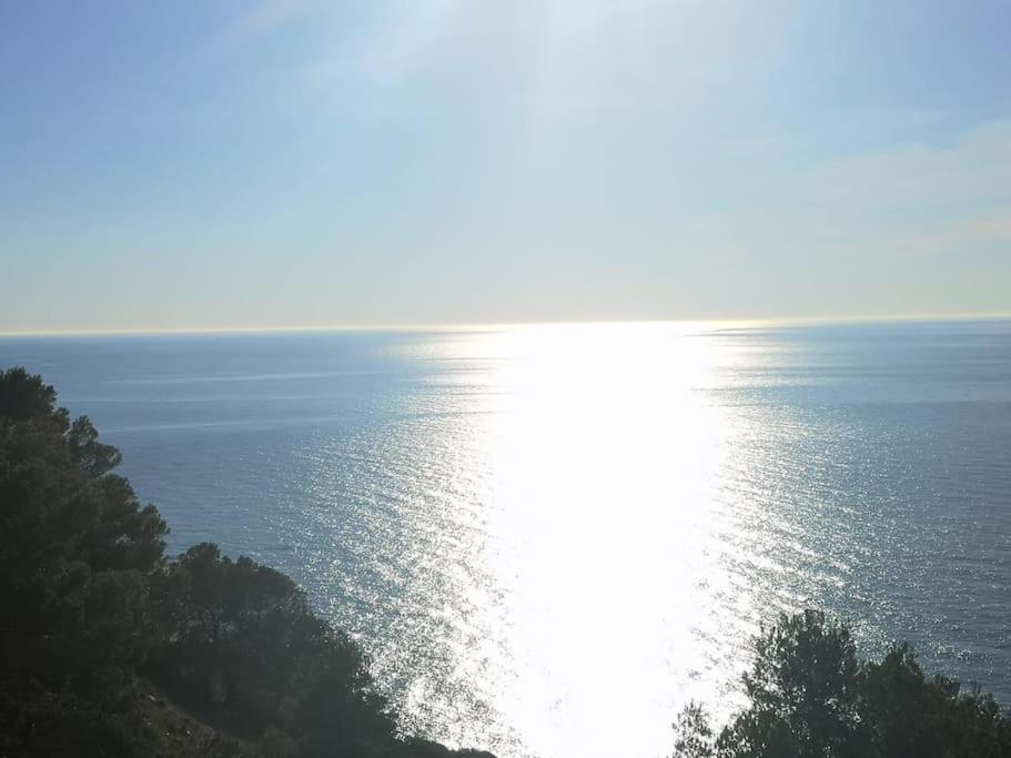 Casa En Urb. Con La Piscina Mas Grande De Javea. Buitenkant foto